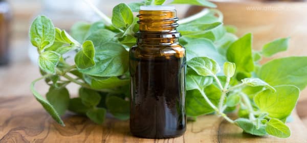 تصویر 3 از خرید جدیدترین انواع روغن معجزه
